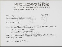 登錄號:F0033755藏品圖，第2張