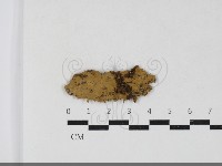 登錄號:F0033755藏品圖，第1張