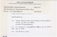 登錄號:F0033755藏品圖，第3張