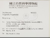 多孔菌屬藏品圖，第2張