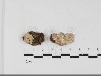 登錄號:F0033763藏品圖，第1張