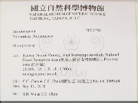 小孔菌屬藏品圖，第2張