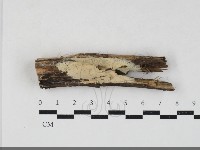 登錄號:F0033765藏品圖，第1張
