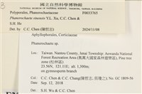 登錄號:F0033765藏品圖，第3張