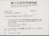 登錄號:F0033767藏品圖，第2張