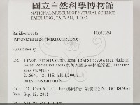 登錄號:F0033769藏品圖，第2張