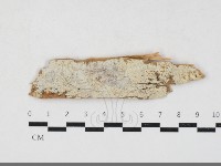 登錄號:F0033770藏品圖，第1張