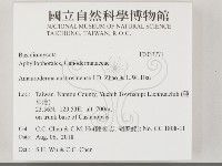 登錄號:F0033771藏品圖，第2張