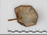 登錄號:F0033771藏品圖，第3張