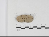 登錄號:F0033772藏品圖，第1張