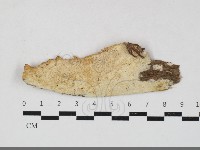 登錄號:F0033775藏品圖，第1張