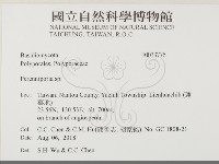 多年臥孔菌屬藏品圖，第2張