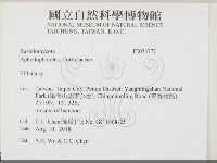 登錄號:F0033777藏品圖，第2張