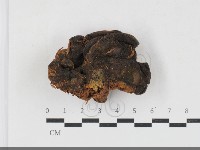 登錄號:F0033779藏品圖，第1張