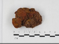 登錄號:F0033779藏品圖，第3張