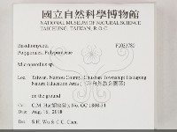 登錄號:F0033780藏品圖，第2張