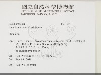 登錄號:F0033781藏品圖，第2張