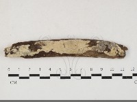 登錄號:F0033781藏品圖，第1張