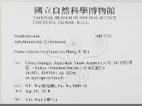 登錄號:F0033782藏品圖，第2張