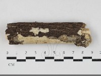 登錄號:F0033782藏品圖，第1張