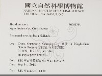 登錄號:F0033783藏品圖，第2張