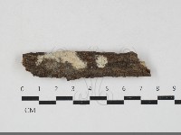 登錄號:F0033783藏品圖，第1張