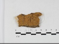 登錄號:F0033786藏品圖，第1張