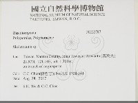 骨皮菌屬藏品圖，第2張