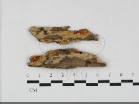 登錄號:F0033788藏品圖，第1張