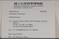 登錄號:F0033788藏品圖，第3張