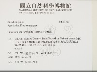 登錄號:F0033789藏品圖，第2張