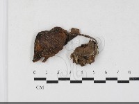 登錄號:F0033789藏品圖，第1張