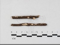 登錄號:F0033790藏品圖，第1張