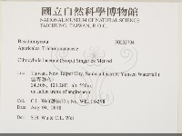 登錄號:F0033794藏品圖，第2張