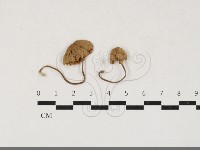 登錄號:F0033794藏品圖，第1張