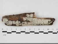 登錄號:F0033796藏品圖，第1張