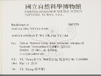 登錄號:F0033798藏品圖，第2張