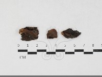 登錄號:F0033798藏品圖，第1張