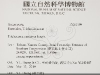 登錄號:F0033799藏品圖，第2張