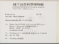 登錄號:F0033801藏品圖，第2張