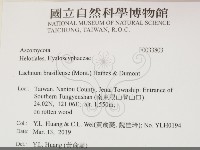 登錄號:F0033803藏品圖，第2張