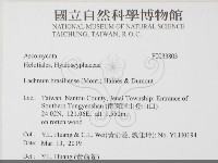 登錄號:F0033803藏品圖，第1張