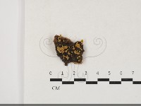 登錄號:F0033804藏品圖，第1張