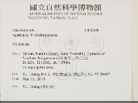 小菇屬藏品圖，第2張