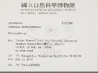 登錄號:F0033808藏品圖，第2張