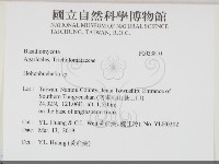 登錄號:F0033810藏品圖，第2張