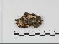 登錄號:F0033810藏品圖，第1張