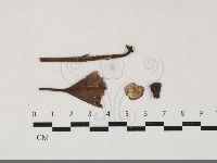 登錄號:F0033814藏品圖，第1張