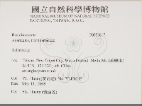 盔孢傘屬藏品圖，第2張