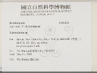 登錄號:F0033818藏品圖，第2張